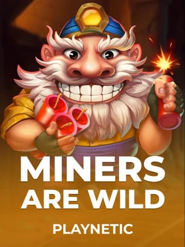 Jogue o Slot Miners are Wild por Playnetic