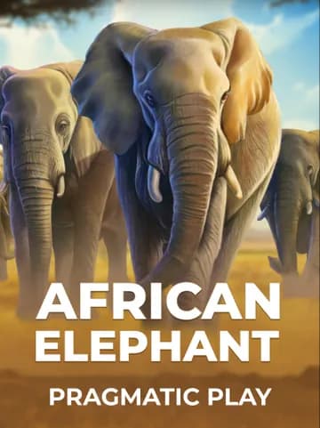 Play African Elephant Slot by Pragmatic Play