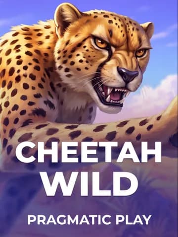 Cheetah Wild