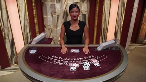 Play Dynasty VIP Blackjack 6 by Evolution