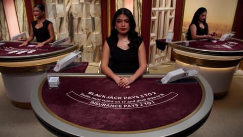 Play Dynasty VIP Blackjack 7 by Evolution