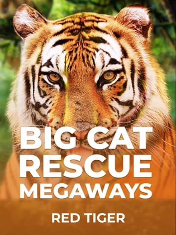 Red Tiger tarafından sunulan Big Cat Rescue MegaWays Slot Oyununu Oyna