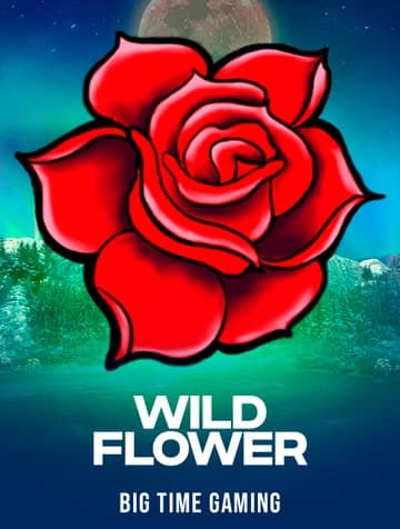 Jogue Wild Flower da Big Time Gaming