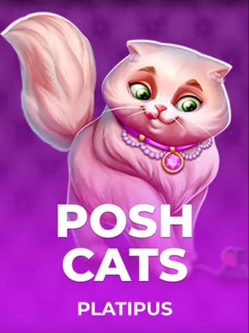 Play Posh Cats Slot by Platipus