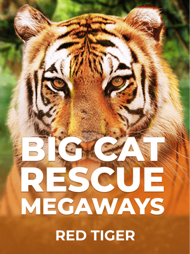 Play Big Cat Rescue MegaWays Slot by Red Tiger