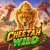 Cheetah Wild